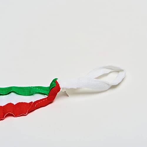 LEONE 1947 Pansements Tricolore Adulte Unisexe |5 M AB705 (Lot de 2)