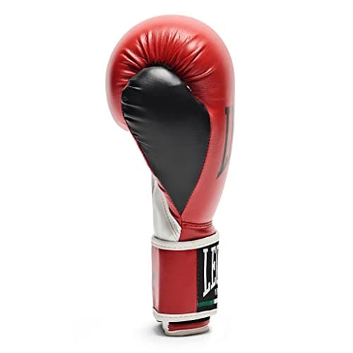 LEONE 1947 Gants de Boxe Flash - Pour les Débutants et Professionnels | Gants d'Entraînement de Boxe pour le Ring avec C