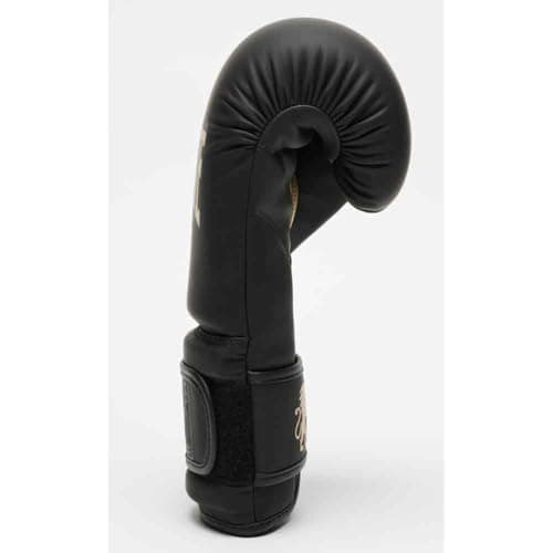Gants de Boxe Leone Édition 14 oz pour Adultes en Arène et Entraînement