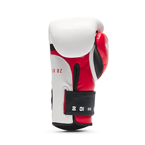 Leone 1947 Gants de Boxe IL Tecnico N3 - Protection estilo rétro pour randonneurs et boxeurs amateurs - Paw Protection