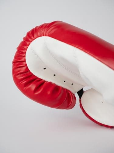 Gants de boxe initiationMetal boxe