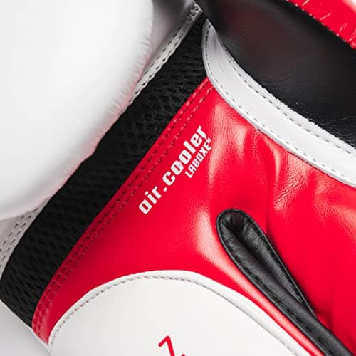 Leone 1947 Gants de Boxe IL Tecnico N3 - Protection estilo rétro pour randonneurs et boxeurs amateurs - Paw Protection
