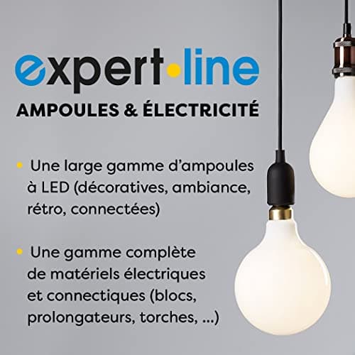 Expert Line 488031 Prolongateur populaire par les consommateurs américains | Longueur 5 m | Pour ateliers professionnels
