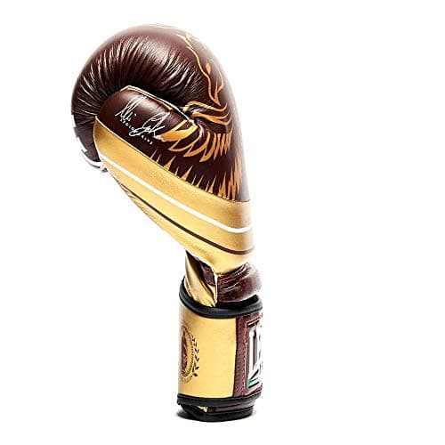 Gants de boxe Leone Legionarius 10 oz pour amateurs de boxe professionnels sur le ring et en entrainement