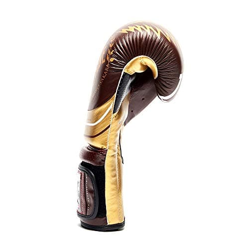 Gants de boxe Leone Legionarius 10 oz pour amateurs de boxe professionnels sur le ring et en entrainement