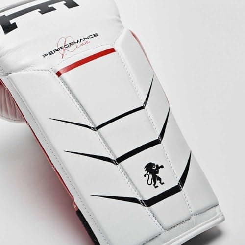 Lion Gant de Boxe GN110F + Technique + Athlètes + Entraînements + Protection des mains + Coton tissé + GN110F