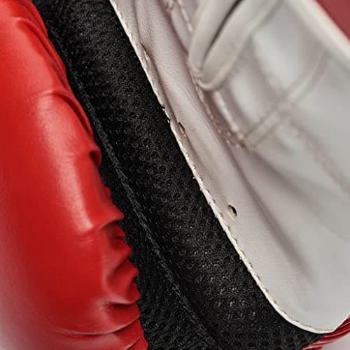 LEONE 1947 Gants de Boxe Flash - Pour les Débutants et Professionnels | Gants d'Entraînement de Boxe pour le Ring avec C
