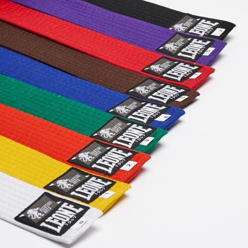 CEONE 1947 Cintura Karategi Ceinture Karate Mixte Élastique et Comfortable pour Pratique Débutante et Avancée MSAV